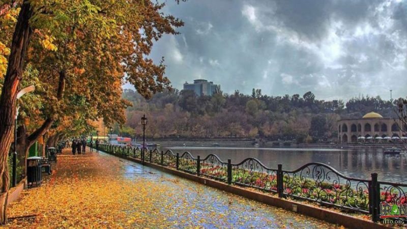 Turkish Airlines Tabriz Office in Iran
