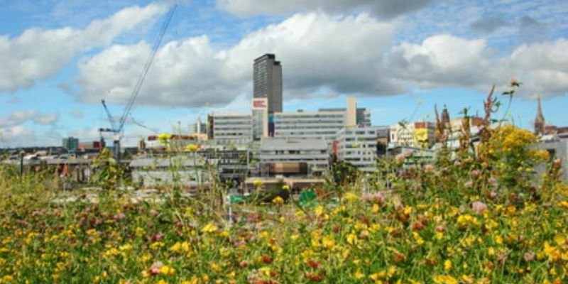 Qantas Airways Gove Office
