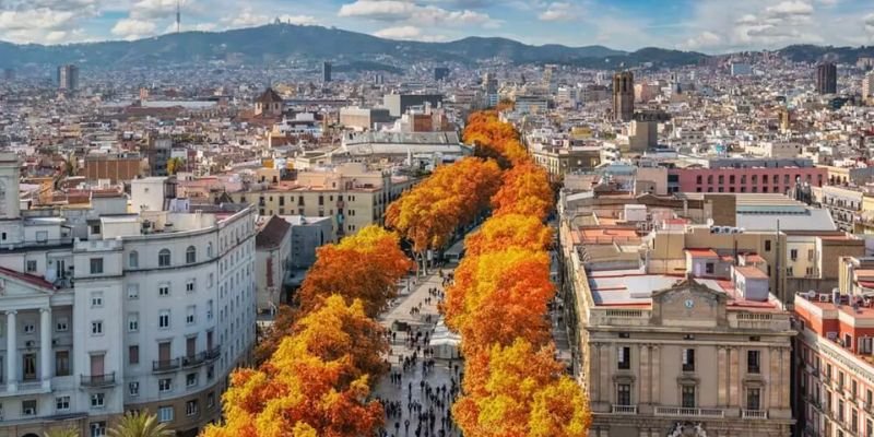 Royal Jordanian Barcelona Office in Spain