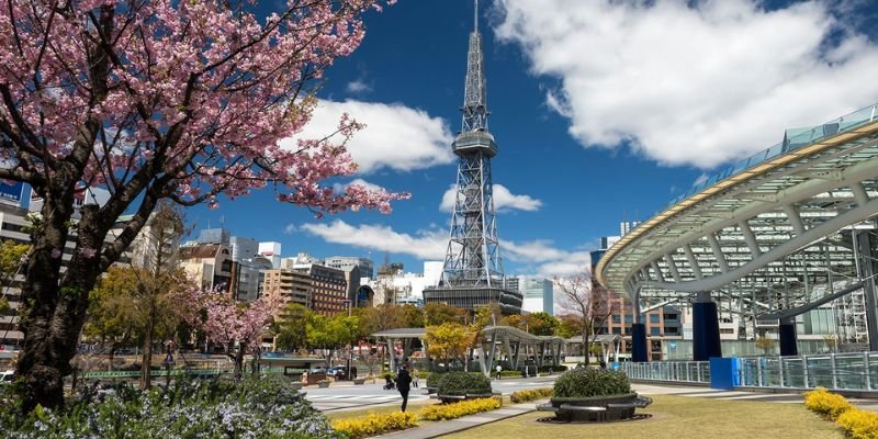 Scoot Airlines Nagoya Office In Japan