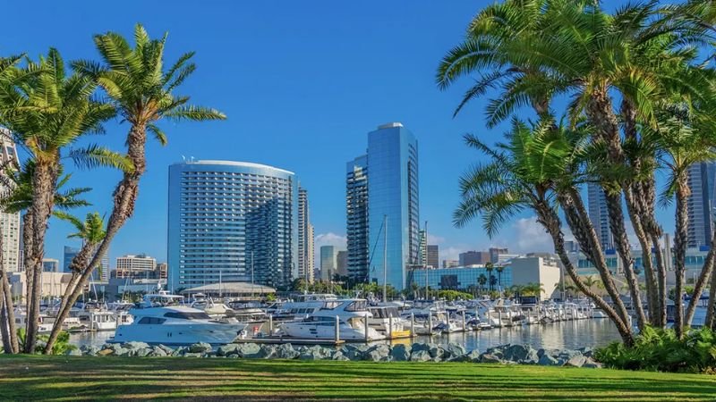 Flynas San Diego Office in California