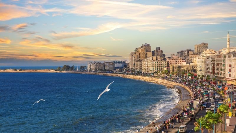 Wizz Air Alexandria Office In Egypt