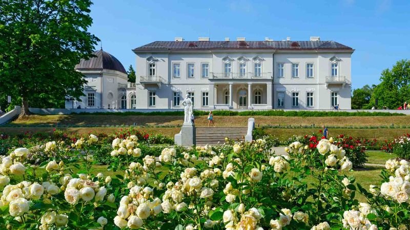 Wizz Air Palanga Office In Lithuania