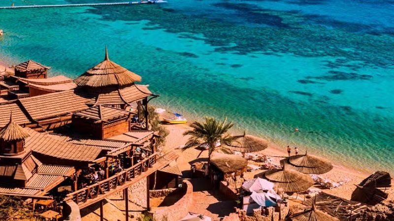 Turkish Airlines Sharm El-Sheikh Office in Egypt