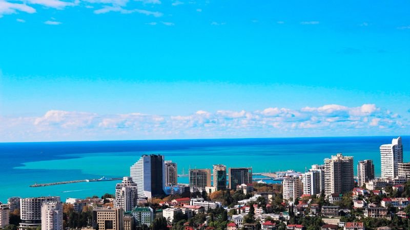 Turkish Airlines Sochi Office in Russia