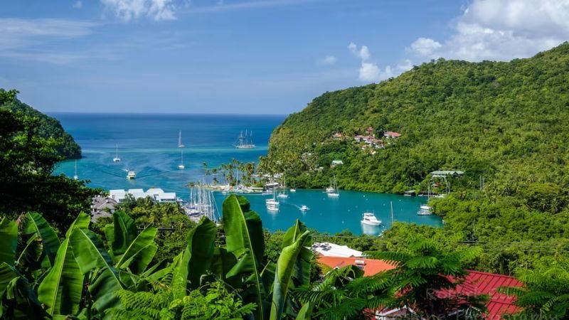 Qatar Airways St Lucia Office