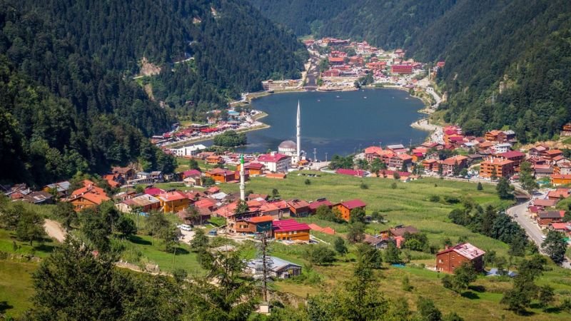 Royal Jordanian Trabzon Office In Turkey