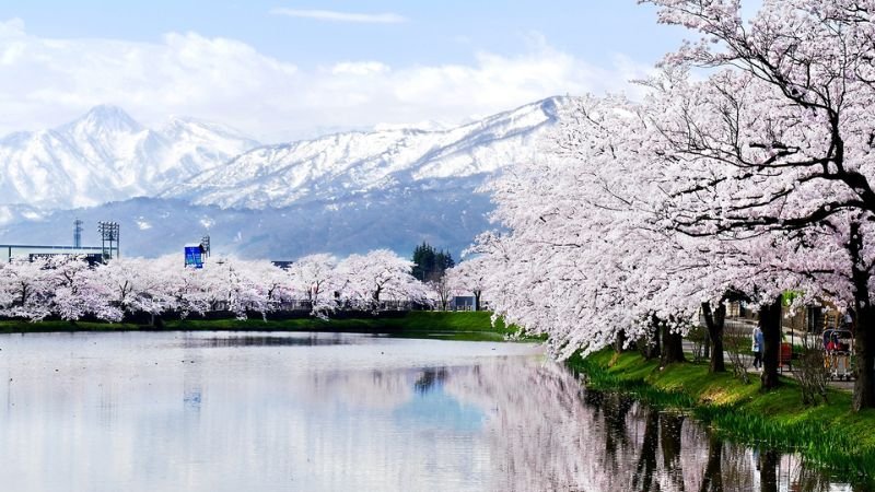 Korean Air Niigata Office in Japan
