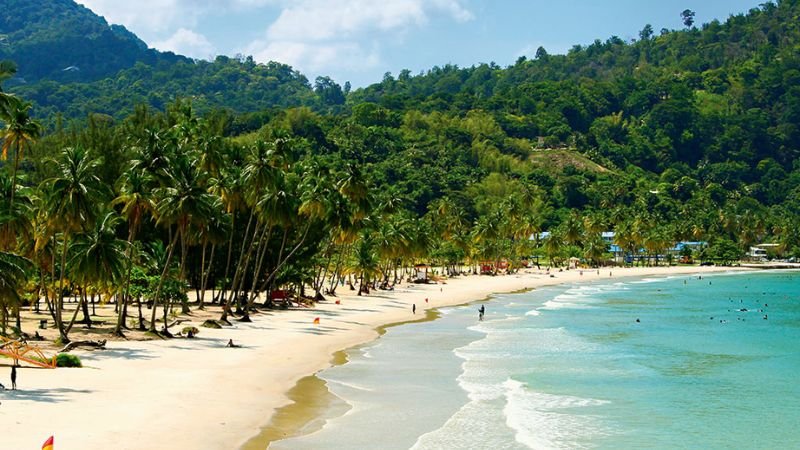 Air Transat Piarco Office in Trinidad & Tobago