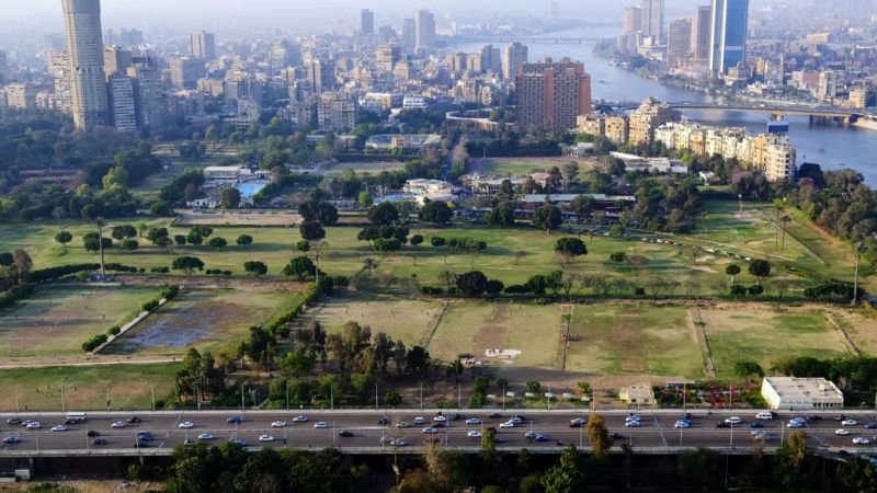 EgyptAir Zamalek Office in Egypt