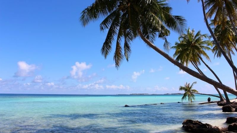 Kenya Airways Maldives Office