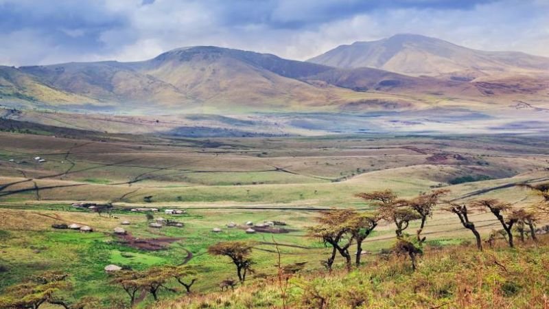 Kenya Airways Tanzania Office in East Africa